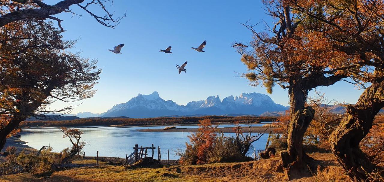 Morrena Lodge Torres del Paine National Park Exteriör bild